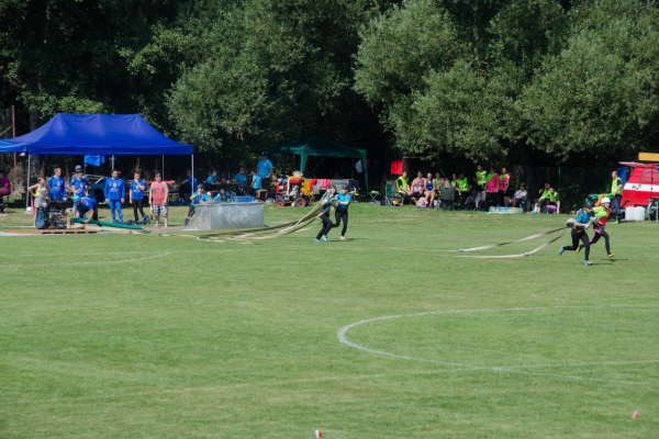 dsc378659289BEB-A54E-15BF-8F85-A11CEB982825.jpg